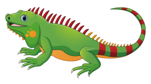 Iguana PNG-93157